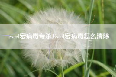 excel宏病毒专杀,Excel宏病毒怎么清除