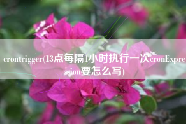 crontrigger(13点每隔1小时执行一次cronExpression要怎么写)