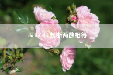 shellif,else判断两数相等