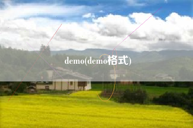 demo(demo格式)