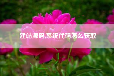 建站源码,系统代码怎么获取