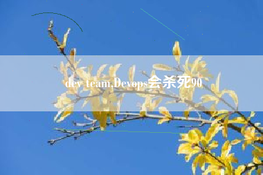 dev team,Devops会杀死90