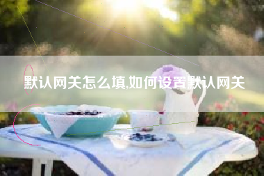 默认网关怎么填,如何设置默认网关