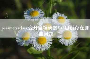 parameterclass,变分自编码器VAE目前存在哪些问题