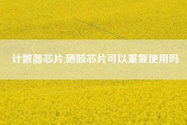 计数器芯片,硒鼓芯片可以重复使用吗