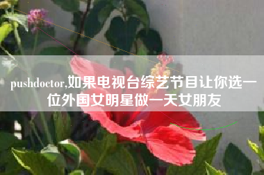 pushdoctor,如果电视台综艺节目让你选一位外国女明星做一天女朋友