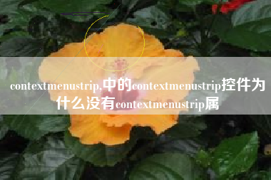 contextmenustrip,中的contextmenustrip控件为什么没有contextmenustrip属