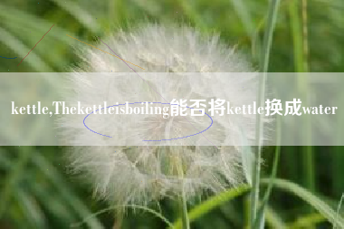 kettle,Thekettleisboiling能否将kettle换成water