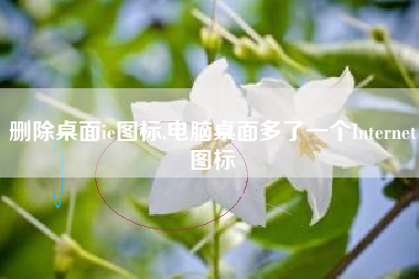 删除桌面ie图标,电脑桌面多了一个Internet图标