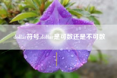 dollar符号,dollar是可数还是不可数