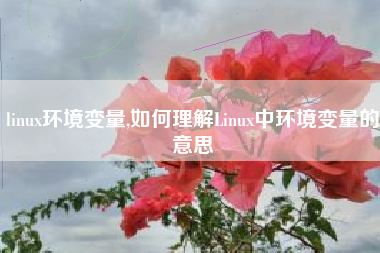 linux环境变量,如何理解Linux中环境变量的意思