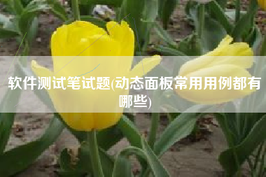 软件测试笔试题(动态面板常用用例都有哪些)