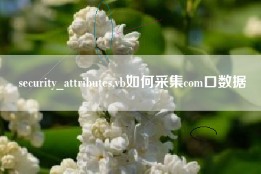 security_attributes,vb如何采集com口数据