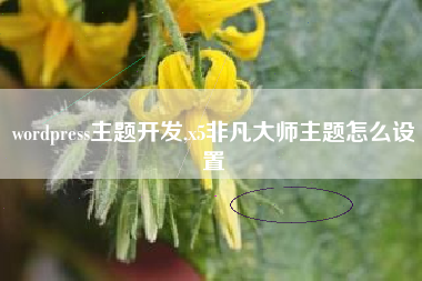wordpress主题开发,x5非凡大师主题怎么设置