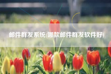 邮件群发系统(哪款邮件群发软件好)