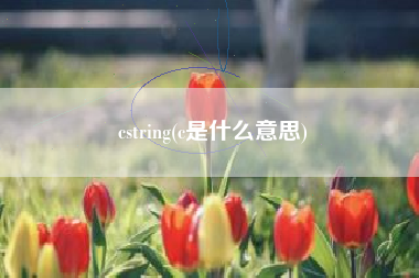 cstring(c是什么意思)