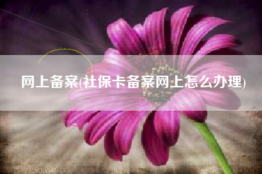网上备案(社保卡备案网上怎么办理)
