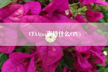 CFAA(ax支持什么CPU)