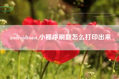 androidtoast,小程序刷题怎么打印出来