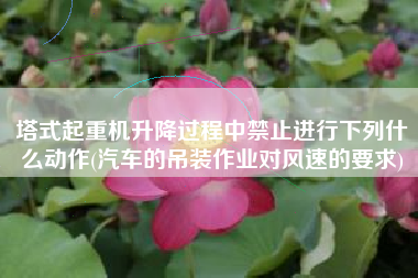 塔式起重机升降过程中禁止进行下列什么动作(汽车的吊装作业对风速的要求)
