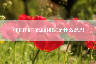CHIEFEDITOR,ED和EiC是什么意思