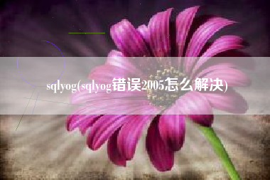 sqlyog(sqlyog错误2005怎么解决)