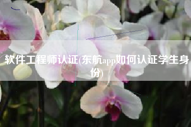 软件工程师认证(东航app如何认证学生身份)