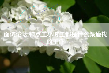 面试论坛,钟点工小时工都是什么渠道找的工作
