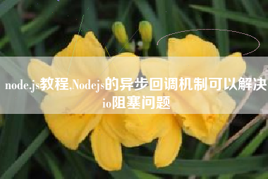 node.js教程,Nodejs的异步回调机制可以解决io阻塞问题