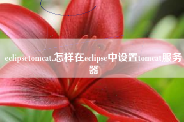 eclipsetomcat,怎样在eclipse中设置tomcat服务器