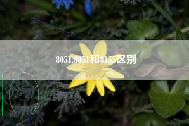 8051,8051和8155区别