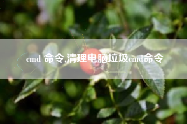 cmd 命令,清理电脑垃圾cmd命令