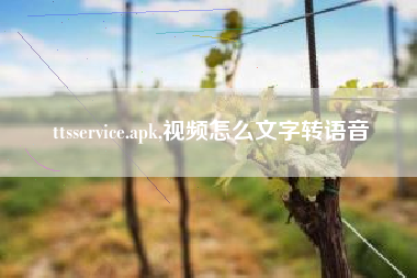 ttsservice.apk,视频怎么文字转语音
