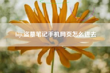 biji,盗墓笔记手机网页怎么进去