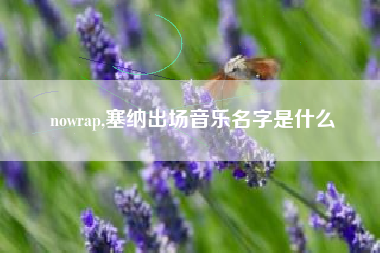 nowrap,塞纳出场音乐名字是什么