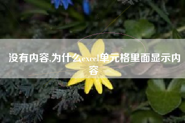 没有内容,为什么excel单元格里面显示内容