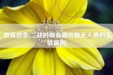 教育信条(二战时期有哪些惨无人道的实验案例)