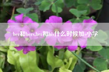 her和hers,her和his什么时候加s小学