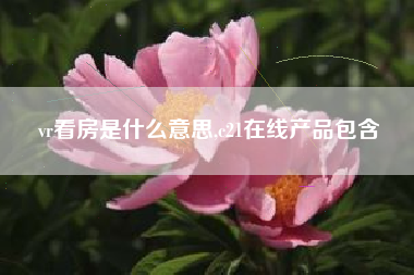 vr看房是什么意思,c21在线产品包含