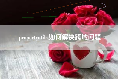 propertyutils,如何解决跨域问题