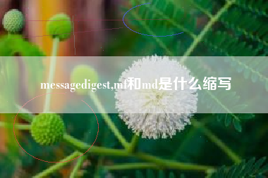 messagedigest,mf和md是什么缩写