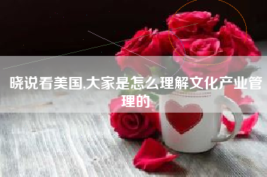 晓说看美国,大家是怎么理解文化产业管理的