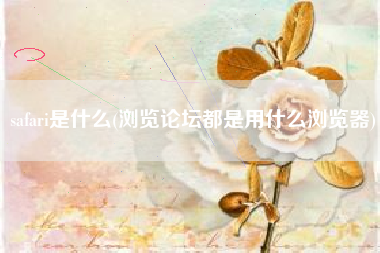safari是什么(浏览论坛都是用什么浏览器)