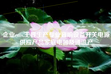 企业cms,主要生产专业音响设备开关电源供应产品家庭电器及通讯产