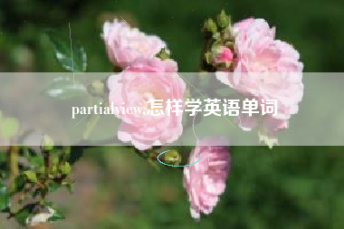 partialview,怎样学英语单词