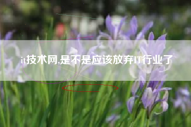 it技术网,是不是应该放弃IT行业了