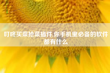叮咚买菜抢菜插件,你手机里必备的软件都有什么