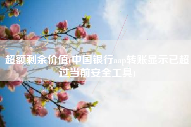 超额剩余价值(中国银行aap转账显示已超过当前安全工具)
