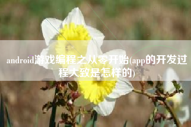 android游戏编程之从零开始(app的开发过程大致是怎样的)
