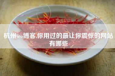 杭州seo博客,你用过的最让你震惊的网站有哪些